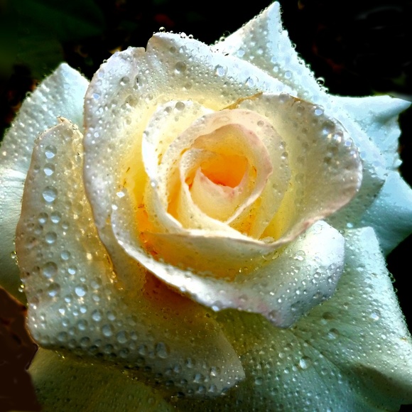 Meet your Posher, Kathy - Picture 11 of 11